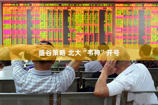 盛谷策略 北大“韦神”开号