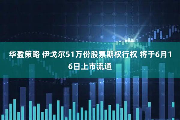 华盈策略 伊戈尔51万份股票期权行权 将于6月16日上市流通