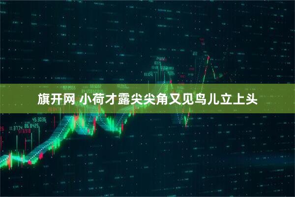 旗开网 小荷才露尖尖角又见鸟儿立上头