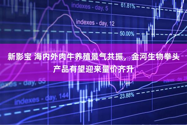 新影宝 海内外肉牛养殖景气共振，金河生物拳头产品有望迎来量价齐升