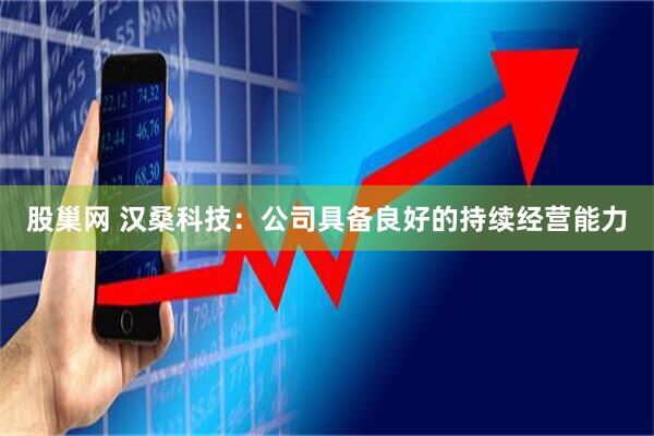 股巢网 汉桑科技：公司具备良好的持续经营能力