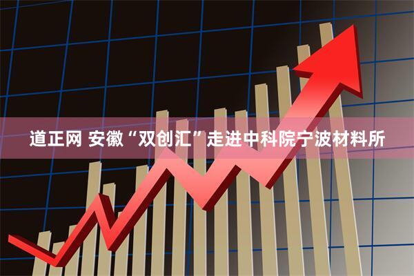 道正网 安徽“双创汇”走进中科院宁波材料所