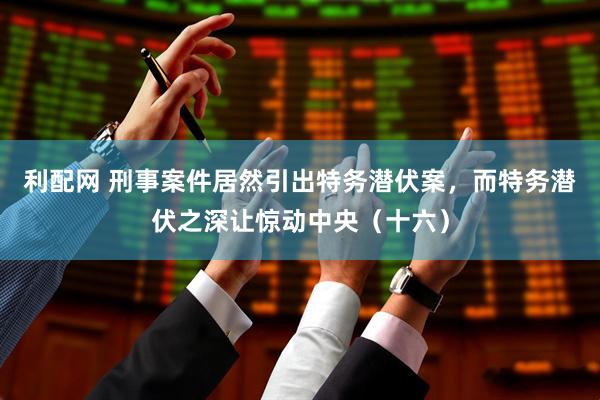 利配网 刑事案件居然引出特务潜伏案，而特务潜伏之深让惊动中央（十六）
