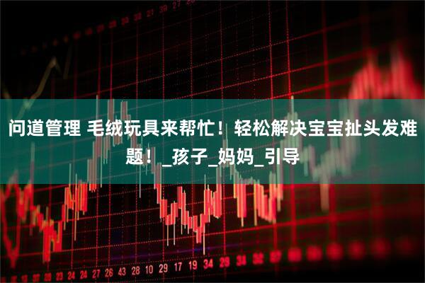 问道管理 毛绒玩具来帮忙！轻松解决宝宝扯头发难题！_孩子_妈妈_引导