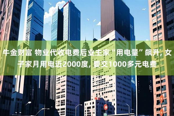 牛金财富 物业代收电费后业主家“用电量”飙升, 女子家月用电近2000度, 要交1000多元电费