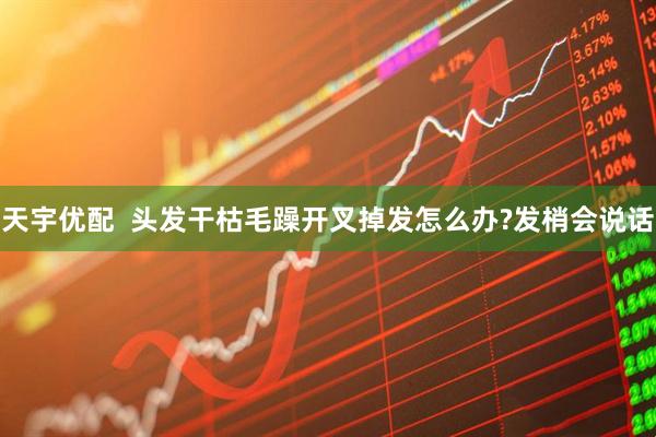 天宇优配  头发干枯毛躁开叉掉发怎么办?发梢会说话